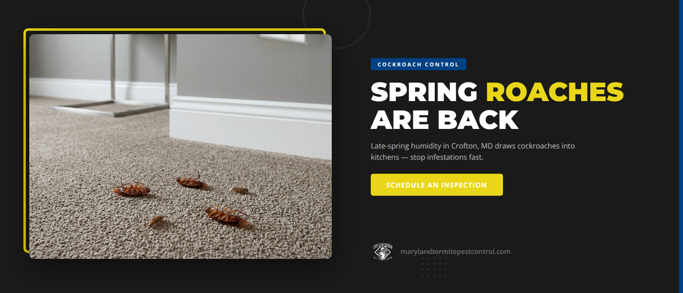 Spring Cockroach Control in Crofton, MD