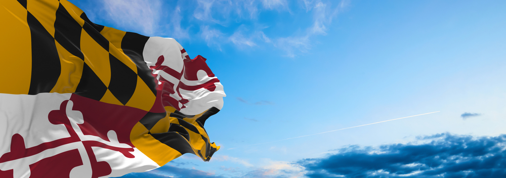 Featured Pest Control Services by Bug Squashers of Maryland | Bug Squashers of Maryland