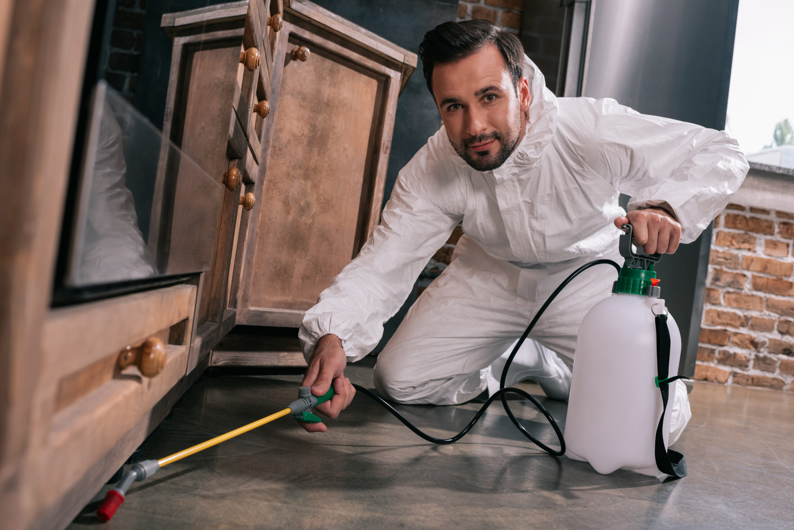 Keep Your Home Pest-Free with Bug Squashers | Bug Squashers of Maryland