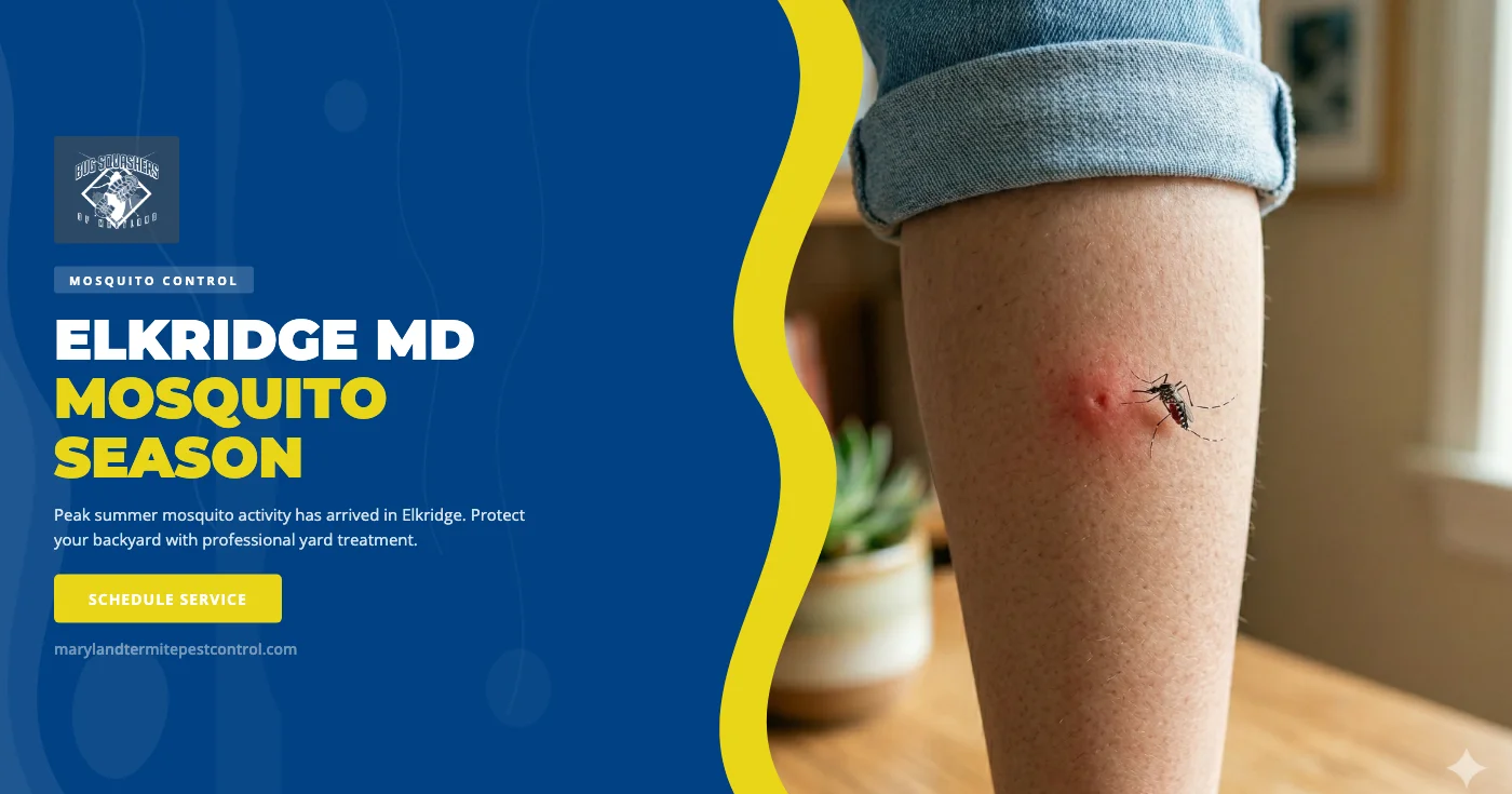 Summer Mosquito Control in Elkridge, MD