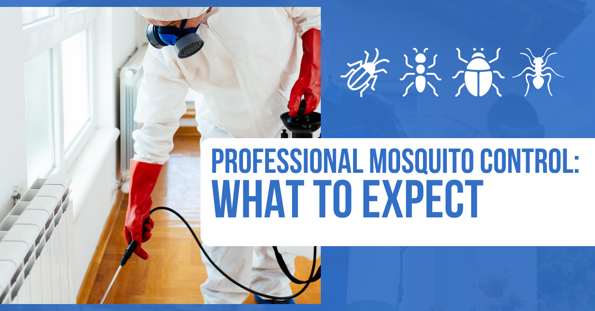 Professional Mosquito Control: What to Expect | Bug Squashers of Maryland