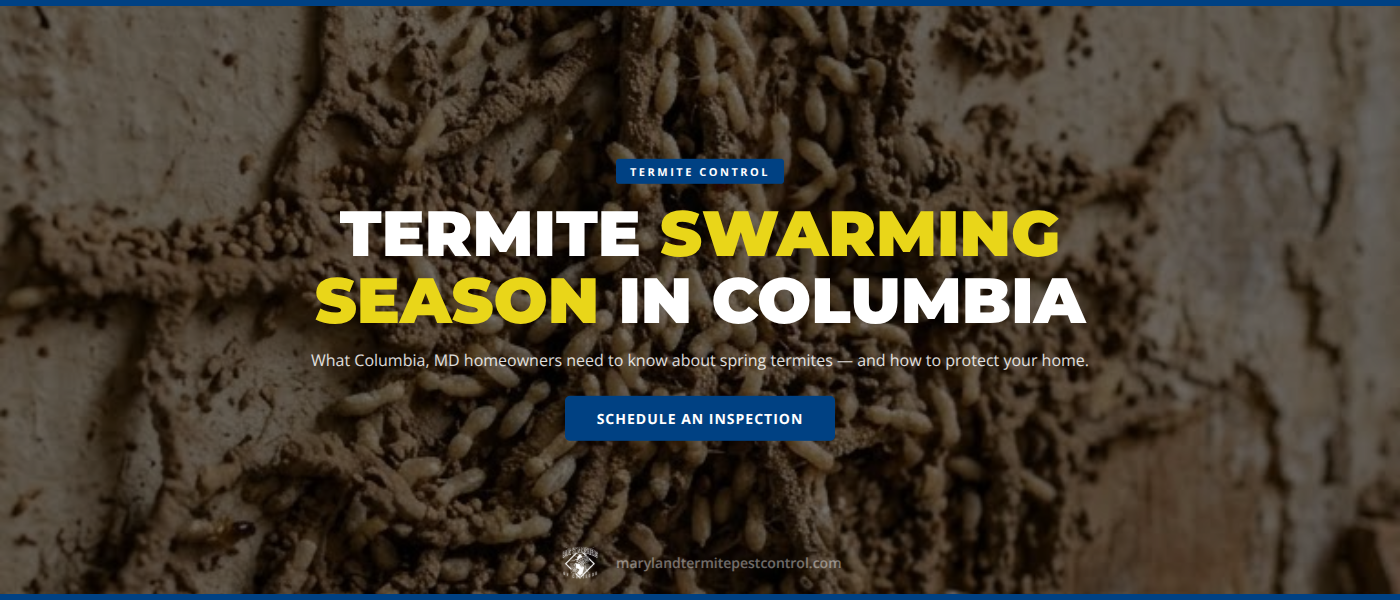 Termite Swarming Season in Columbia, MD: What Homeowners Need to Know This Spring | Bug Squashers of Maryland
