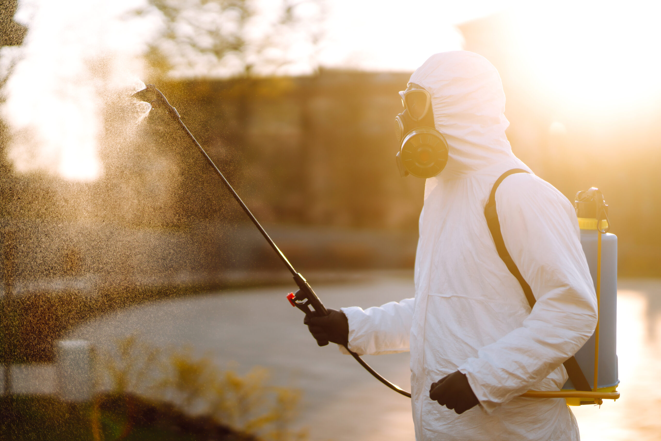 Treating for Fleas in Maryland: Effective Solutions with Bug Squashers of Maryland | Bug Squashers of Maryland